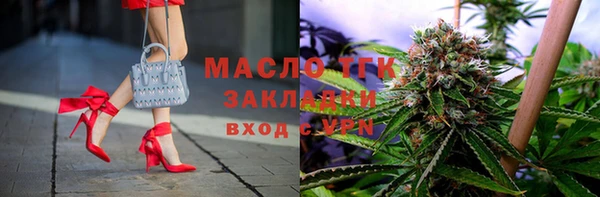 индика Инсар